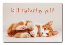 90 funny saturday memes, images & pics for a happy weekend. Caturday