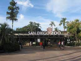 Picture Of Zoo Entrance San Diego Zoo Prices San Diego Zoo Tickets And Discounts San Diego Zoo Zoo Tickets Visit San Diego