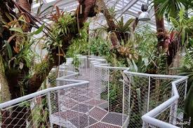 Ken je de plantentuin van meise al? Plantentuin Meise Bezoeken Tips Achtergrond Info
