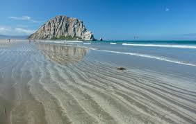 Compare reviews of tacos al pastor and beef tacos. Taco Temple Morro Bay Taquitos Tacos The Slo Eater