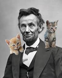 9 inspirational abraham lincoln quotes on education. Abraham Lincoln Quotes Witty Quotations By President Lincoln