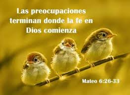 Image result for San Mateo 6,24-34.