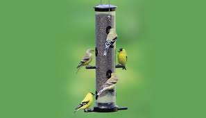 It's the perfect blend of durability and function. Top 10 Best Finch Feeders For 2021 Reviews Orbirds