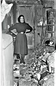 Did The Mold At Grey Gardens Affect Big Edie And Little Edie Beale Paradigm Change