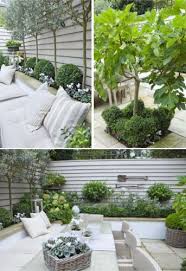 Petit Jardin De Reve A Londres Jardins Petits Jardins Et Idees Jardin