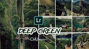 Chu Mini Deep Green Lightroom Preset Lightroom Mobile Presets Free D Lightroom Presets Download Lightroom Lightroom Presets Free