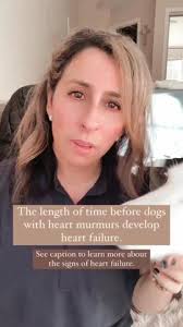 💔 Your dog can look totally normal and be dealing with heart disease