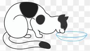 Gambar kucing hitam menjulurkan lidahnya. Cat Drinking Milk Gambar Kucing Hitam Putih Clipart Full Size Clipart 381539 Pinclipart
