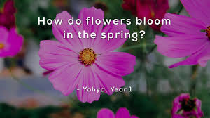 They kept selecting flowers with sweeter smells. How Do Flowers Bloom In The Spring Youtube