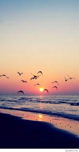 We did not find results for: Beach Sunset Hd Wallpapers Iphone Mobile Phones Cute Home Screen Wallpaper Sunset Wallpaper Beach Phone Wallpaper