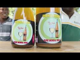 Image result for Mondia ecornuta