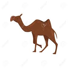 About is a camel a mammal? Cartoon Illustration Of Brown Camel Side View Desert Mammal Royalty Free Cliparts Vectors And Stock Illustration Image 126349949