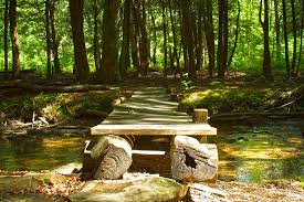Free camping, or dispersed camping, is allowed in all national forests, unless noted otherwise. Allegheny National Forest Hiking Trails Allegheny Outfitters