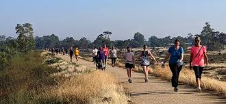 State revenue revealed to fall almost $8 billion in a year as tim what you need to know about victoria's covid budget. Parkrun Australia Covid 19 Coronavirus Update 17 December Parkrun Au Blog