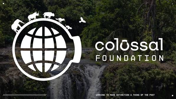 Press Release Service: Colossal Launches The Colossal Foundation - CRISPR  Medicine