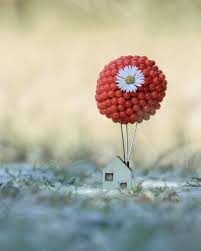 And wallpaper kenya are the national pioneers in wallpaper for walls and wallpaper adhesives, home and office interior decoration. Pin By Iris Perez On Kitap Kenari Miniature Photography Cute Photography Color Splash Photography