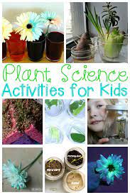 Toddlers do not miss a thing and are constantly looking for something to do and learn. Must Try Plant Activities Kids Will Love