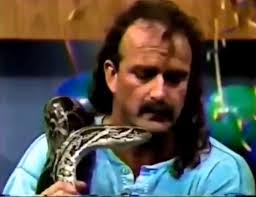 I guest star as Doyle the Dart...