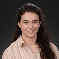 Image result for Nesaea ondongana