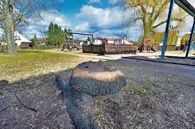 Check spelling or type a new query. Bad Salzungen Linden Und Akazien Gefallt Bad Salzungen Insudthuringen