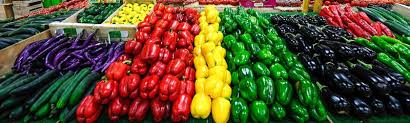 Primeur De Fruits Et Legumes De Saison Bio Begles 33130 La Halle De Pessac