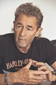 All peter maffay upcoming concerts for 2021 & 2022. Peter Maffay Ein Kamikaze Unternehmen