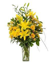 Morning Glory Flower Delivery Fresh Flowers Arrangements Spring Flowers