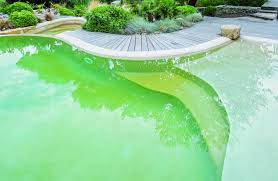 Remedier A Un Probleme D Eau Verte Dans Une Piscine Conseils Avis