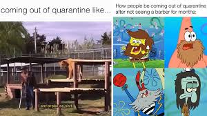 1,050 likes · 569 talking about this. Coming Out Of Quarantine Know Your Meme