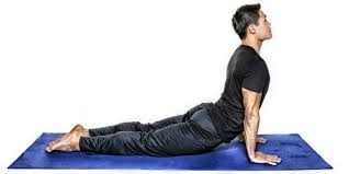 Bhujangasana Get Flexibile And Strengthen Up With The Cobra Pose Cobra Pose Yoga Poses Poses