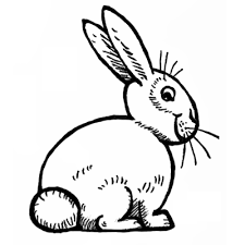 From this video, you will learn how to draw a cute bunny.hope you enjoy it and like the interesting fact related to the animal at the end of the video.please. How To Draw Bunnies With Easy Bunny Rabbits Drawing Lesson How To Draw Step By Step Drawing Tutorials