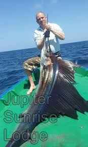 When you are out big game fishing in the maldives you can expect to catch tuna, trevally, barracuda, wahoo, marlin, sail fish and dorado to mention a few. Die 14 Besten Ideen Zu Big Game Fishing Maldives Malediven