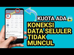 Trik Cara Mengatasi Data Seluler Tidak Muncul Di Hp Android 2021