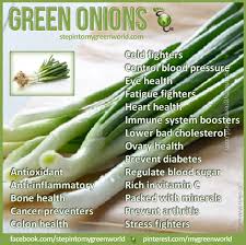 Pin By Deisy Esparza On Food For Your Health Charts Health Facts Food Onion Benefits Green Onions Benefits