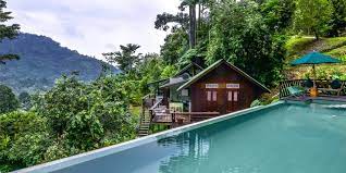 Dusun bawang, negeri sembilan (malezya). The Dusun Mantin Negeri Sembilan Percutian Dalam Malaysia Facebook