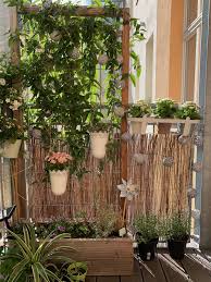 Blumenkasten Mit Rankgitter Als Sichtschutz Fur Balkon Als Balkon Balkonsichtschutz Blumenkasten Fur Mi Balcony Flower Box Balcony Flowers Flower Boxes