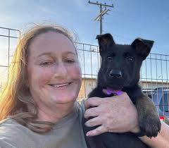 DESPERATE for RESCUE. In Florida shelter. MAD Rescue