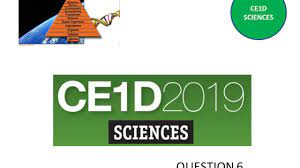 En cliquant sur cette image, tu accéderas aux notions que tu dois impérativement connaitre dans le cadre du thème 8 tous sous pression. Ce1d Sciences 2019 Question 6 Corrige Youtube