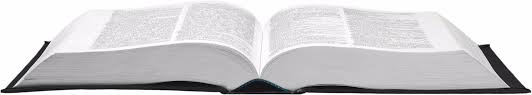 Niveau ist keine creme und stil nicht das ende eines besens. Latein Worterbuch