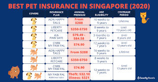 Some policies will pay out when the pet dies, or if the pet is lost or stolen. The Best Pet Insurance In Singapore For Puppers And Cats 2020