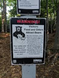 This outline shows the western portion, about 500,000 acres. Running Trails Near Hiawatha National Forest