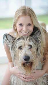 Your dog's visits to beaverton pet clinic will always include. Beaverton Or