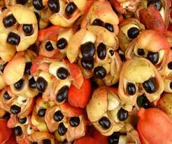 Image result for Blighia