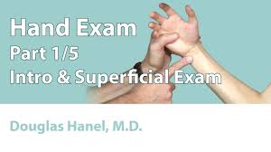 Image result for Hand Exam
