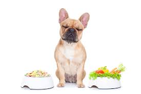 Learn more about the how and why of answes pet food's pancreatitis protocol. Pancreatitis In Dogs Symptoms Causes Diagnosis Treatment Recovery Management Cost