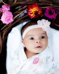 Darcie Bruce (@darciebrucephotographer) • Instagram photos and videos