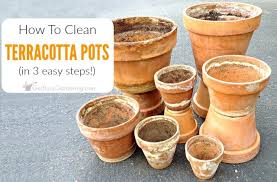 Grasp the end of the piece of cactus you are going to. How To Clean Terracotta Pots Clean Clay Pots In 3 Easy Steps