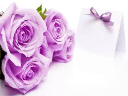 Flowers flower art flower backgrounds rose pictures cute wallpaper backgrounds rose background rose instagram layout flower studio. Gulab Flowers Wallpapers Group 62