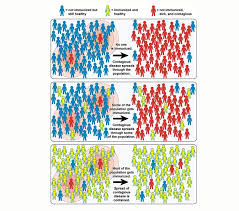 What Is Herd Immunity Nova Pbs Nova Pbs