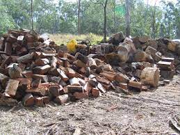 This post may contain affiliate links so i earn a commission. Products Australian Tree Services